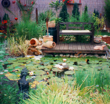 DER Platz zum entspannen - Die Gartenbank am Teich